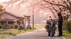 【2026年版】桜ツーリングおすすめ7選｜全国の花見スポット×絶景ルートガイド